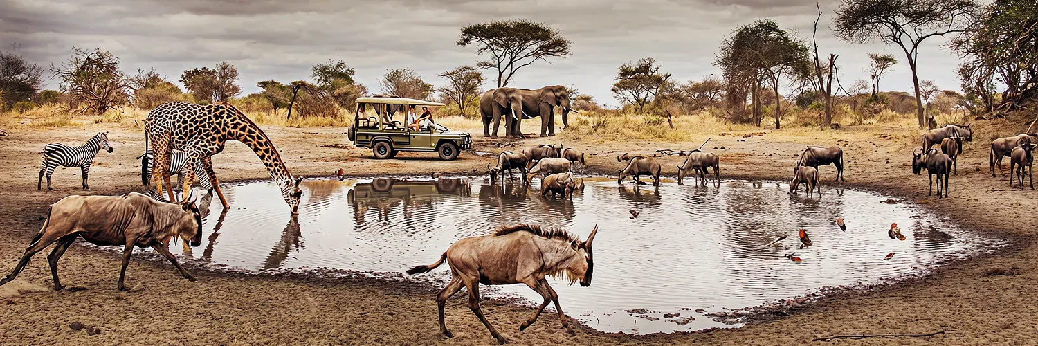 A347-1600x670-little-chemchem-waterhole-game-drive-3 1.webp